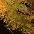 香嵐渓の写真_240018