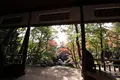 殿ヶ谷戸庭園の写真_240025