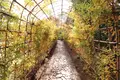 殿ヶ谷戸庭園の写真_240026