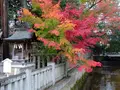多賀大社の写真_240424