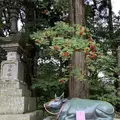 大山寺の写真_240465