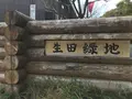 川崎市立日本民家園の写真_240516