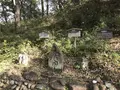 川崎市立日本民家園の写真_240521