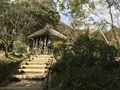 川崎市立日本民家園の写真_240522