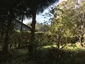 川崎市立日本民家園の写真_240524
