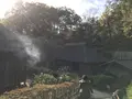 川崎市立日本民家園の写真_240536