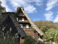 川崎市立日本民家園の写真_240541