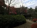 川崎市立日本民家園の写真_240544
