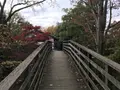 川崎市立日本民家園の写真_240546