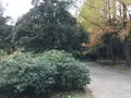 川崎市立日本民家園の写真_240549