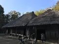 川崎市立日本民家園の写真_240550