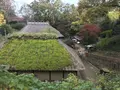 川崎市立日本民家園の写真_240551