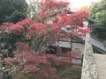 川崎市立日本民家園の写真_240553