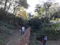 川崎市立日本民家園の写真_240555