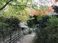 川崎市立日本民家園の写真_240558