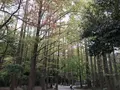 川崎市立日本民家園の写真_240559