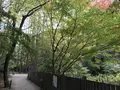 川崎市立日本民家園の写真_240562