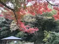 川崎市立日本民家園の写真_240564