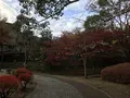 川崎市立日本民家園の写真_240565