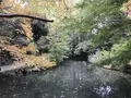 川崎市立日本民家園の写真_240572