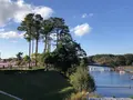 淡路ファームパーク イングランドの丘の写真_240646