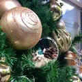 ザ・プリンス さくらタワー東京の写真_240762