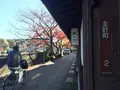 ひがし茶屋街の写真_240858
