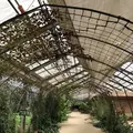 大多喜ハーブガーデンの写真_240914