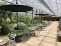 大多喜ハーブガーデンの写真_240915