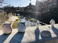 玉作湯神社の写真_241006