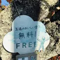 玉作湯神社の写真_241009