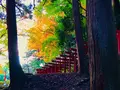 瑞光山 清水寺の写真_241010