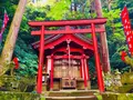 瑞光山 清水寺の写真_241017