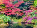 瑞光山 清水寺の写真_241019