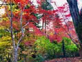 瑞光山 清水寺の写真_241020
