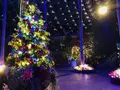 鳥取県立フラワーパークとっとり花回廊の写真_241024