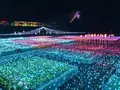 鳥取県立フラワーパークとっとり花回廊の写真_241031