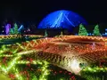 鳥取県立フラワーパークとっとり花回廊の写真_241032
