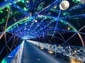 鳥取県立フラワーパークとっとり花回廊の写真_241034