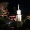 知恩院の写真_241102