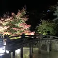 知恩院の写真_241103