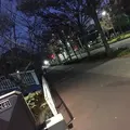 新左近川親水公園の写真_241118