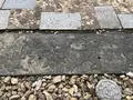 一宮寺の写真_241157