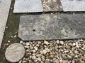 一宮寺の写真_241158
