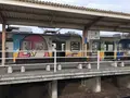 ことでん琴平駅の写真_241160