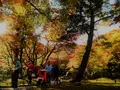 宝厳院の写真_241180