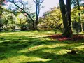 宝厳院の写真_241236
