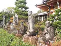 蓮華寺の写真_241251