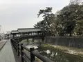 琴平花壇の写真_241304