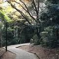 厳魂神社の写真_241334